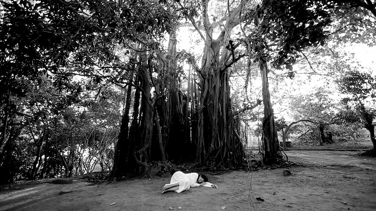 Marina Abramović lies in a white dress under a sprawling banyan tree, surrounded by light and shade. Credit: Marina Abramović | Sleeping Under the Banyan Tree, 2010 | Courtesy of the Marina Abramović Archives, and Sean Kelly Gallery | © Courtesy of the Marina Abramović Archives / Bildrecht, Vienna 2025