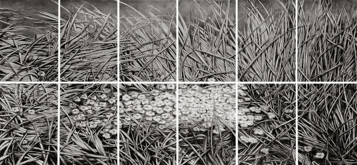 Rainer Wölzl: GRAS DES VERGESSENS I 1 (12-teilig), 2009