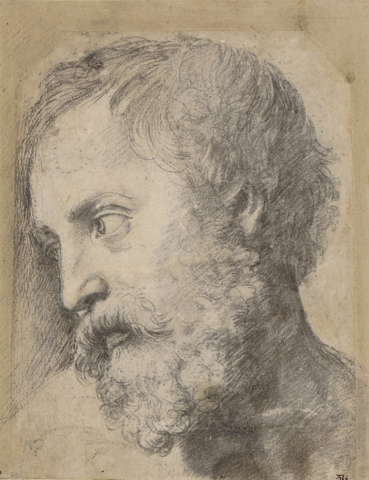Raphael: Apostle Head (Study for 'Transfiguration'), 1519 - 1520