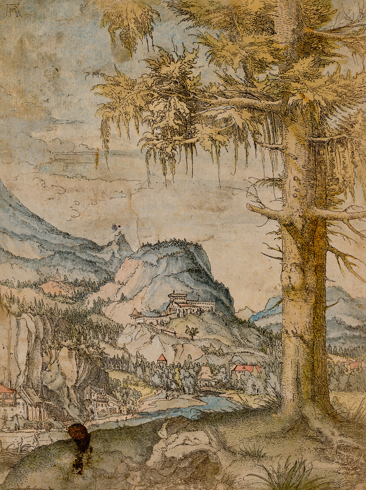 Albrecht Altdorfer: The Large Spruce, ca. 1517–1520