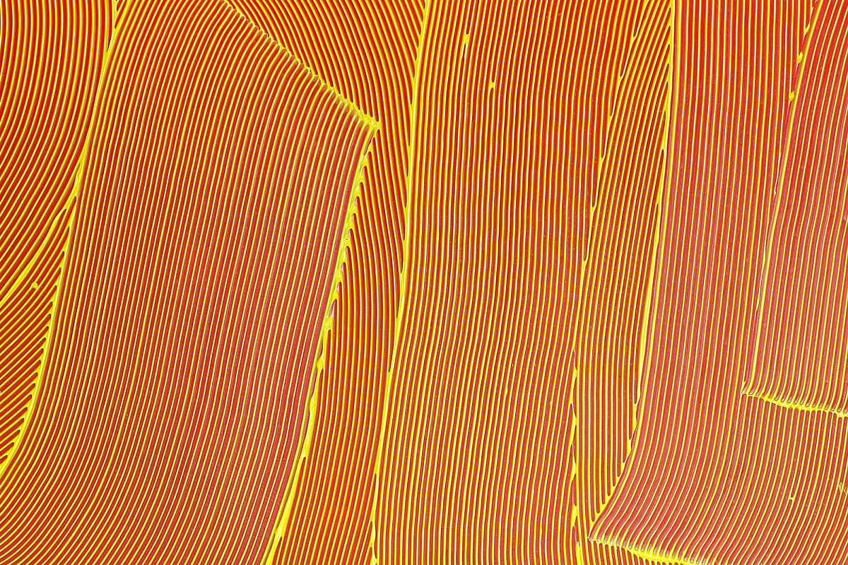 Jakob Gasteiger | Untitled, 2020 | © Bildrecht 2021, Foto © Rainer Iglar