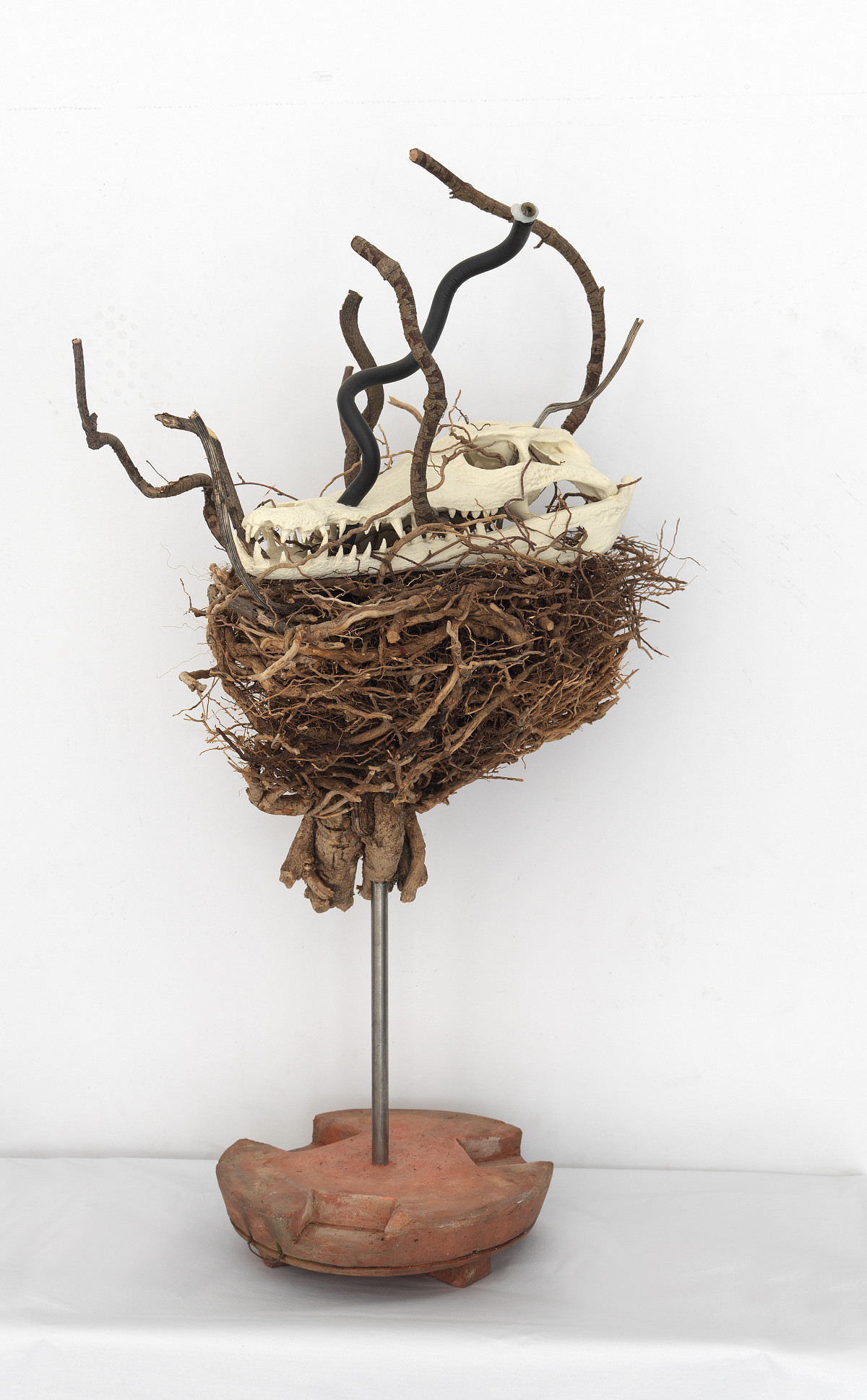 Hubert Scheibl: Captain Claviceps, 2014/15