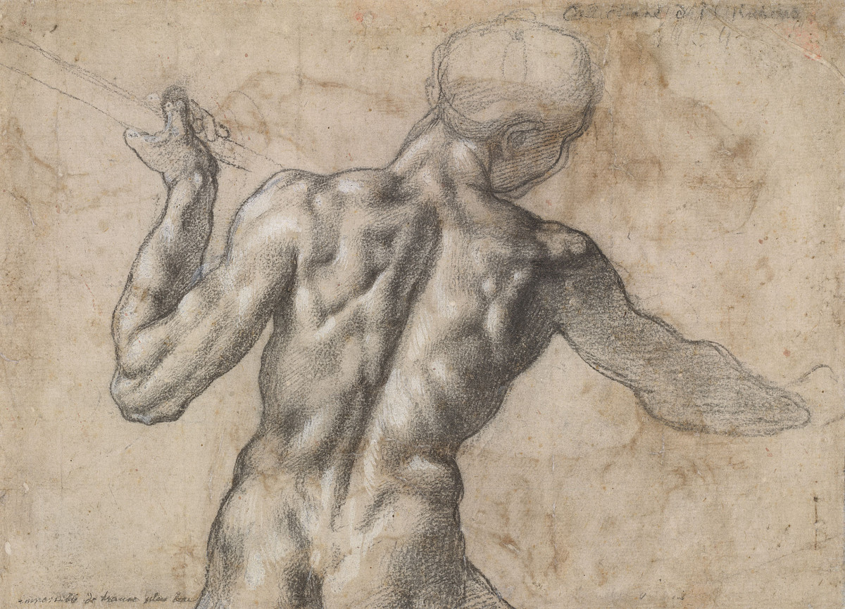 Michelangelo Buonarroti: Male Nude Seen from Rear, c. 1504