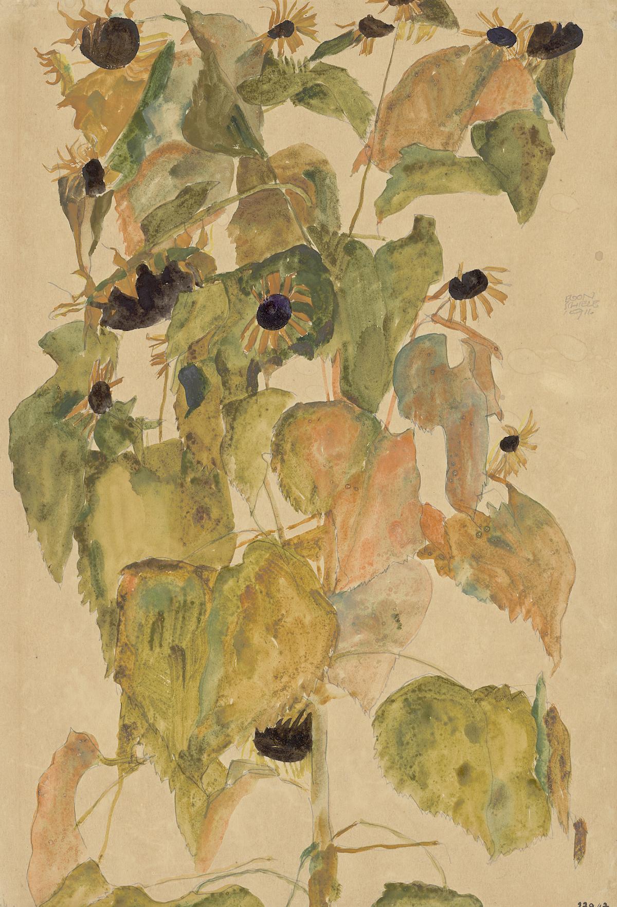 Egon Schiele: Sunflowers, 1911