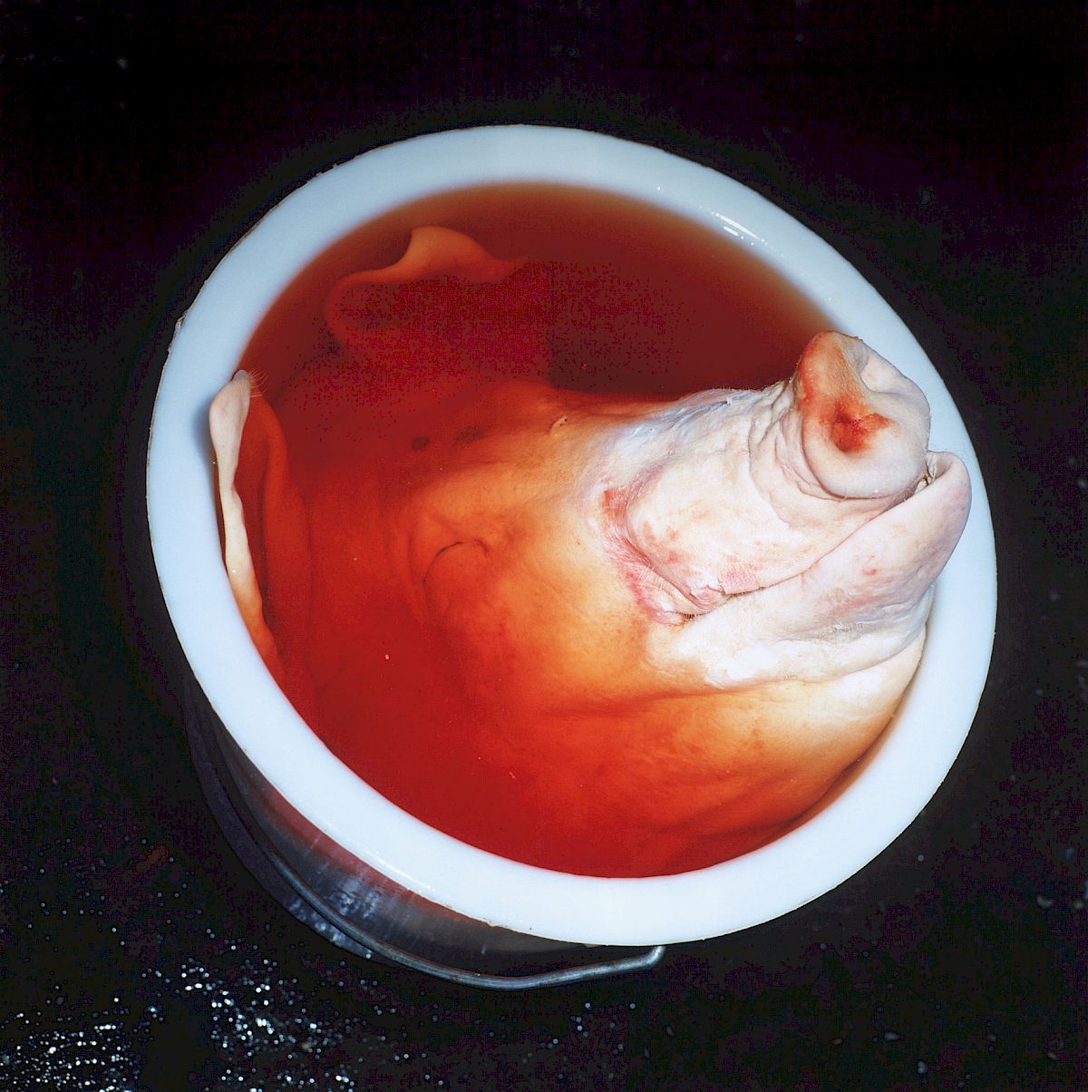 Manfred Willmann: Untitled (from the series 'Das Land'), 1992, printed 2001