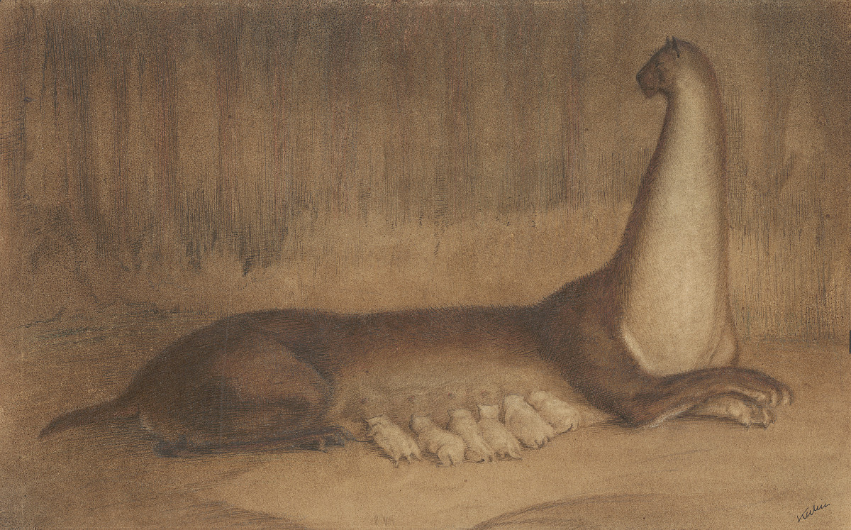 Alfred Kubin: The Brood, 1903-06