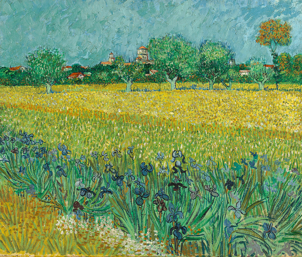 Vincent van Gogh: Field with Irises near Arles, 1888