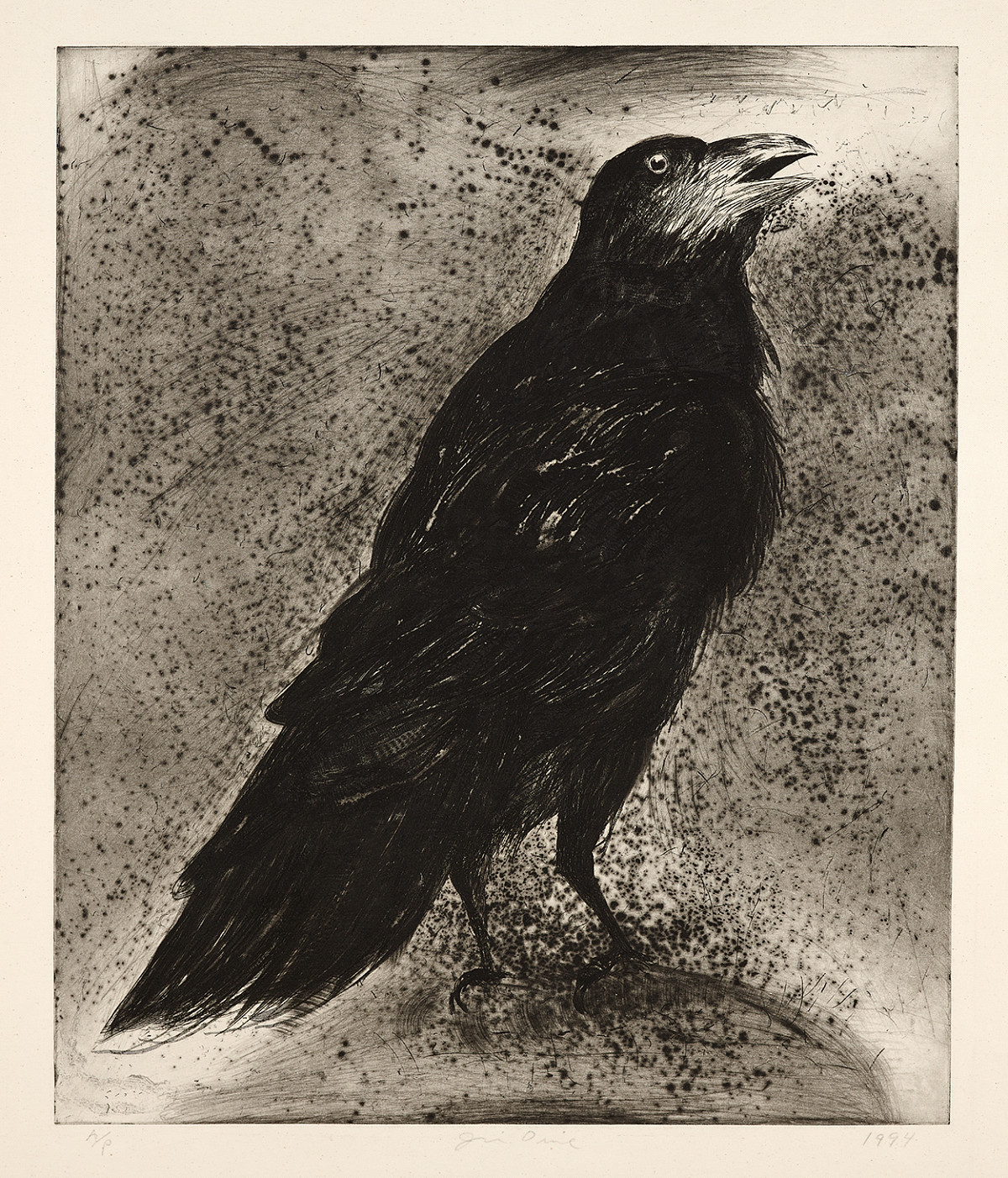 Jim Dine: Raven on Cloth, 1994