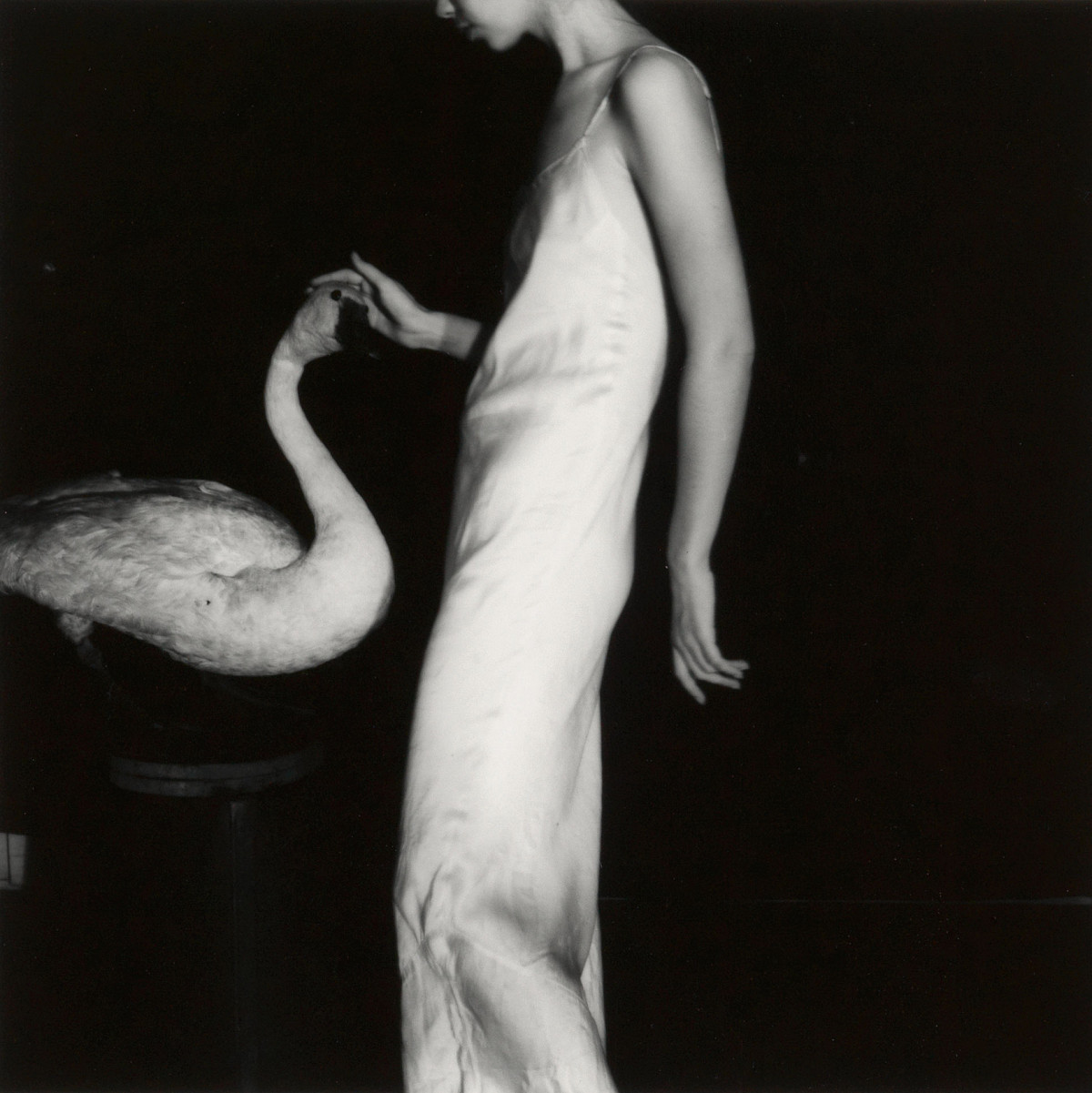 Francesca Woodman: Lucy with Goose or Leda and Swan, 1978