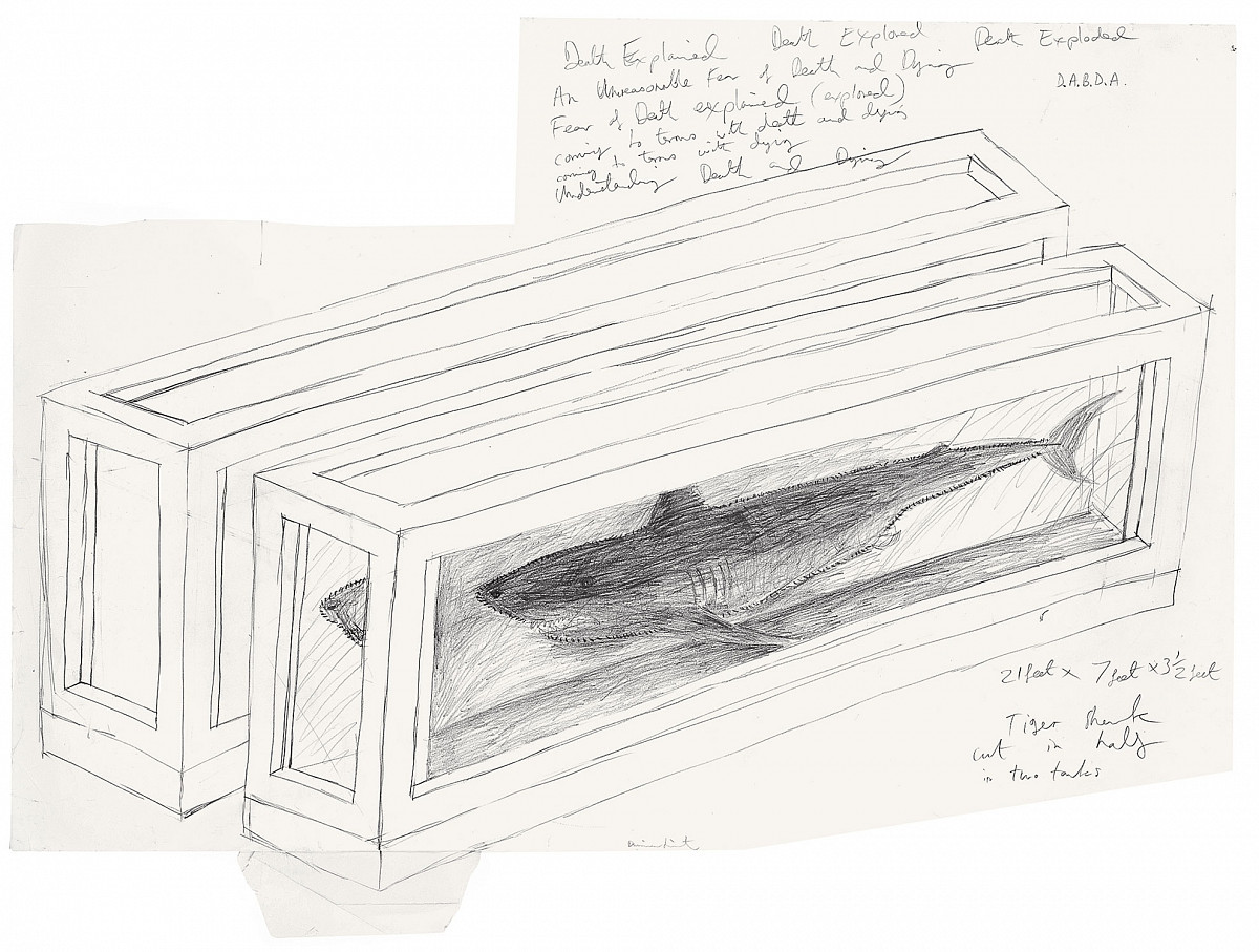 Pencil drawing of the sculpture ''Untitled (Tiger Shark in Tank), which shows a shark in a transparent tank. Behind it is another, identical tank. There are notes all around.