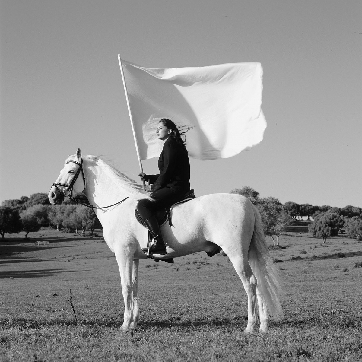 Marina Abramović: The Hero, 2001