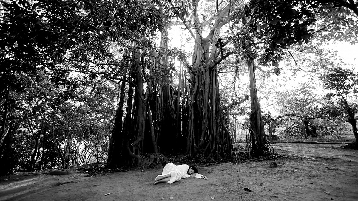 Marina Abramović lies in a white dress under a sprawling banyan tree, surrounded by light and shade.