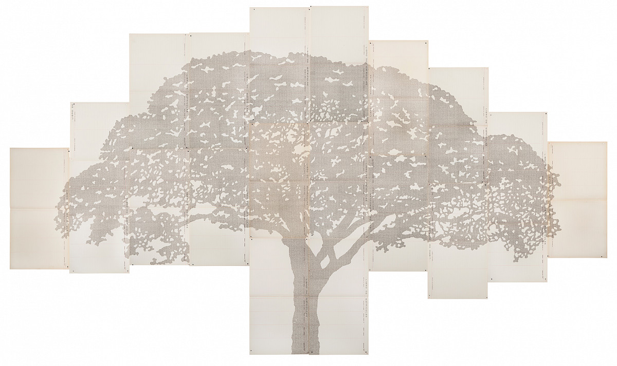 Johanna Calle: Perimetros (Ceiba), 2013/14