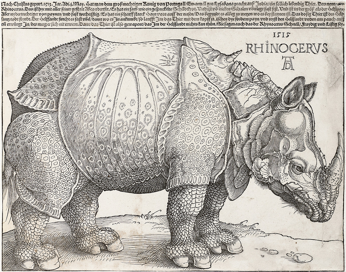 Albrecht Dürer: Rhinocerus (Das Rhinozeros), 1515