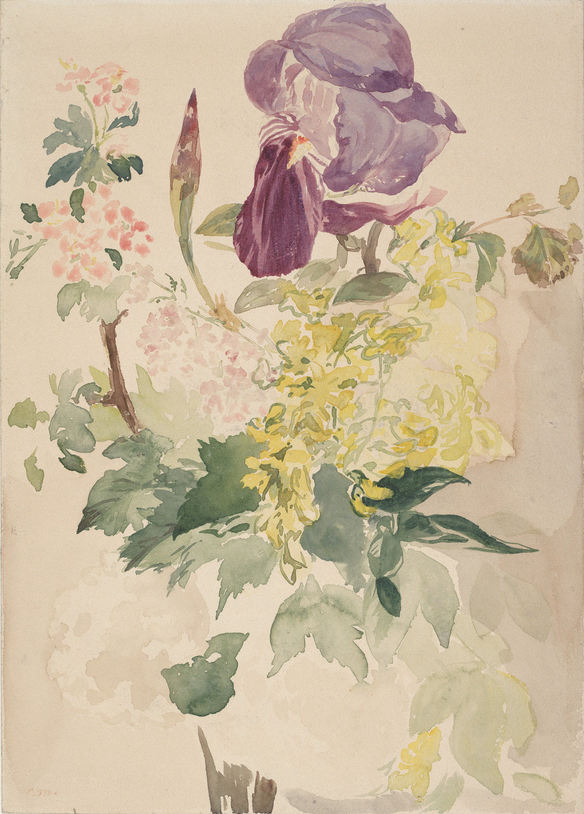 Édouard Manet: Blumenstück mit Schwertlilie, Goldregen und Geranie, 1880
