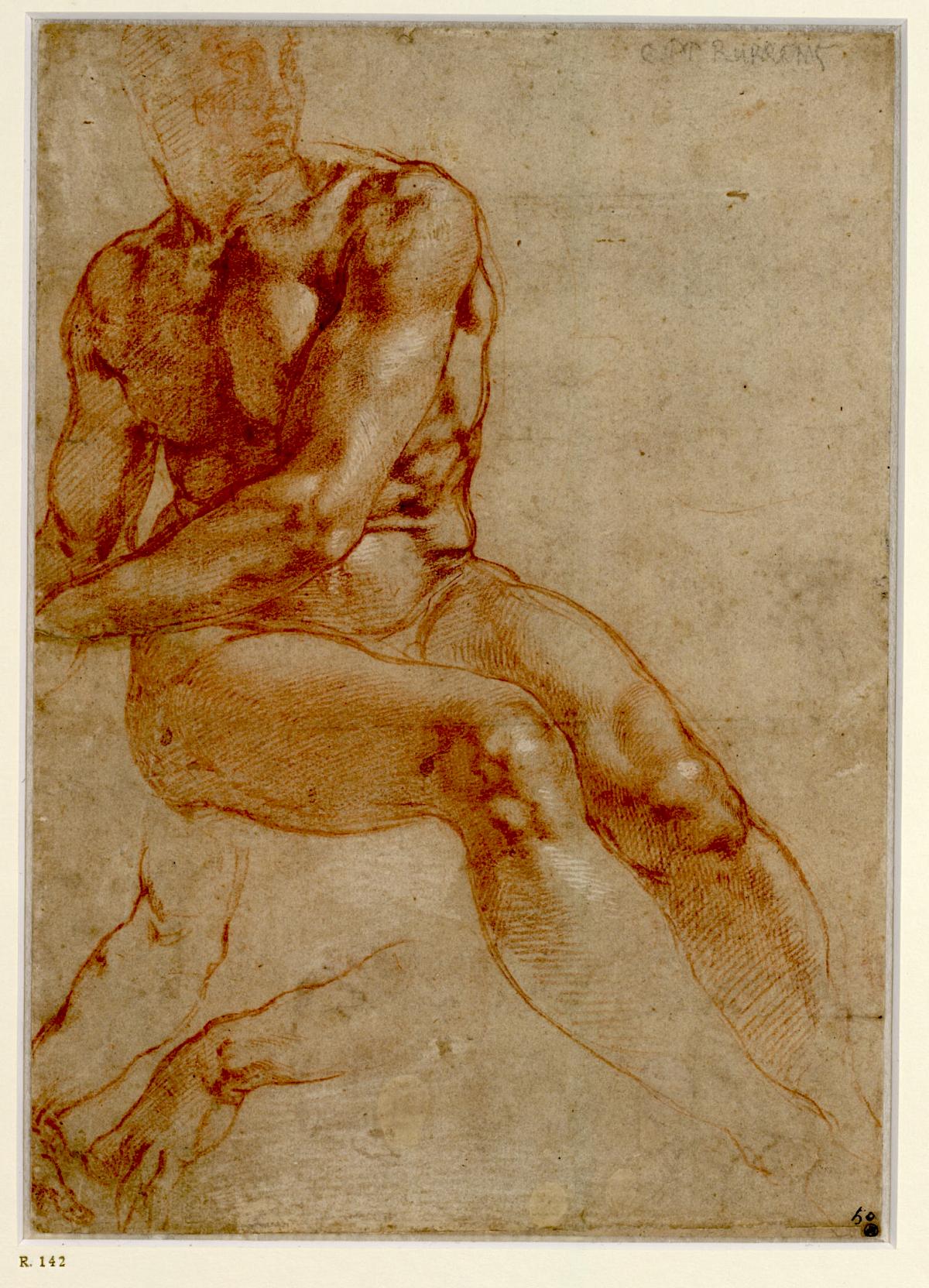 Michelangelo Buonarroti: Study of a Seated Young Man and Two Studies of the Right Arm, (Recto, ca. 1511