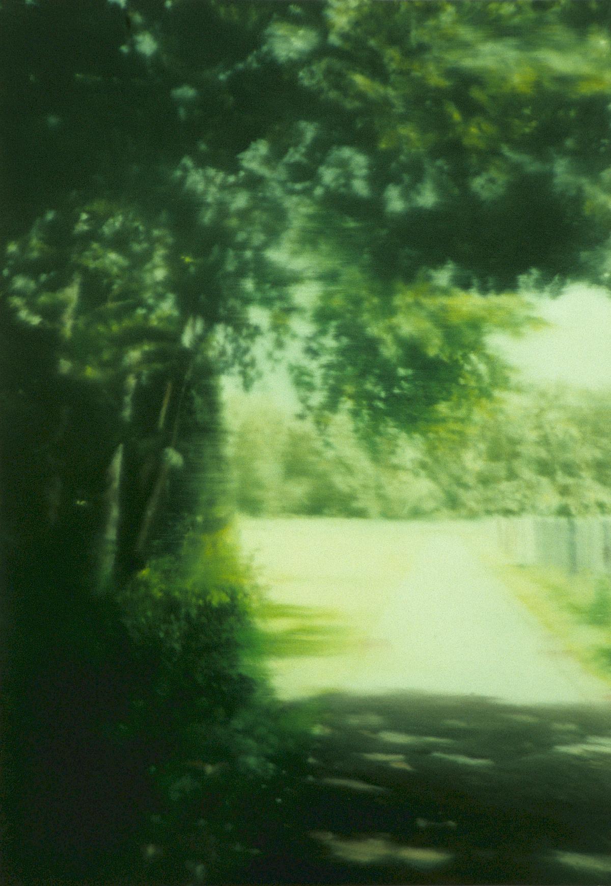 Gerhard Richter: Summer Day, 1999