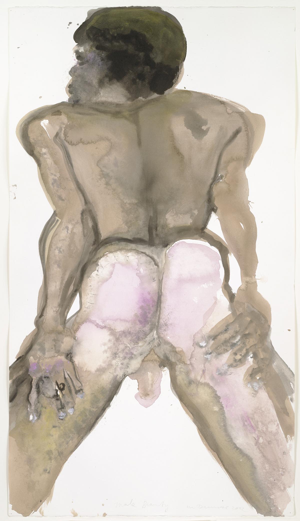Marlene Dumas: Male Beauty, 2002