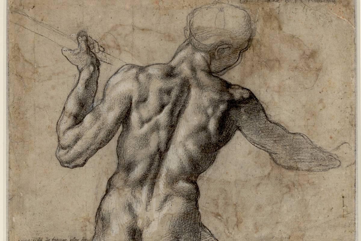 Male Nude, Seen from the Rear (verso)
| The Albertina Museum, Vienna