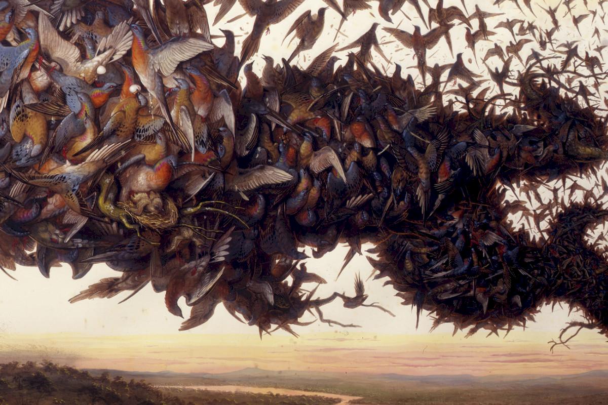 Walton Ford | Falling Bough, 2002 | © Walton Ford, Courtesy Paul Kasmin Gallery