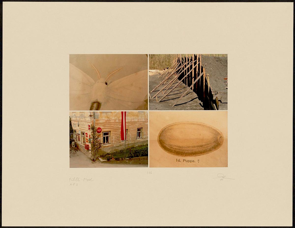 HEINZ CIBULKA | ARCHIVNUMMER: 326 (AUS DEM ZYKLUS FÜHLT-MOST ), 1981 | C-Print, 4 Fotos auf Untersatzkarton Blatt: 49,6 × 64,7 cm, Darstellung: 25,5 × 35,5 cm | Erwerbung aus Mitteln der Galerienförderung des BMUKK 2017 | Albertina, Wien