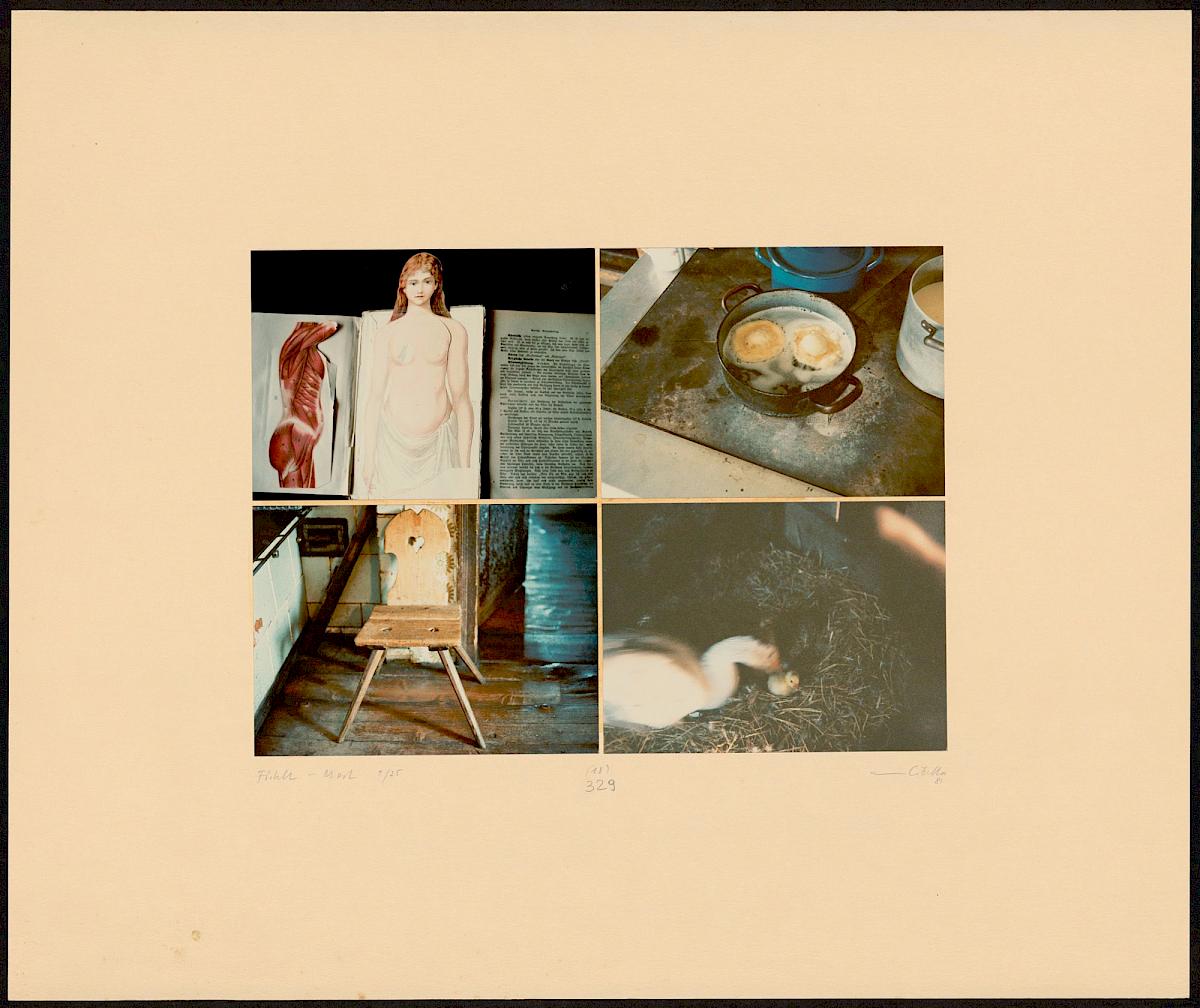 HEINZ CIBULKA | ARCHIVNUMMER: 329 (AUS DEM ZYKLUS FÜHLT-MOST ), 1981 | C-Print, 4 Fotos auf Untersatzkarton Blatt: 49,9 × 60 cm, Darstellung: 25,5 × 35,5 cm | Erwerbung aus Mitteln der Galerienförderung des BMUKK 2017 | Albertina, Wien