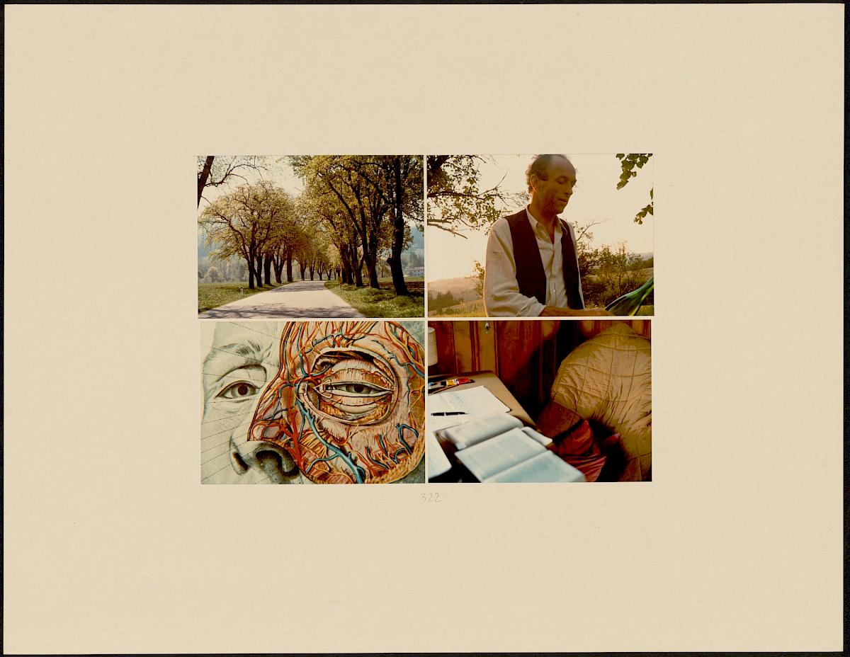 HEINZ CIBULKA | ARCHIVNUMMER: 322 (AUS DEM ZYKLUS MOST-FÜHLT ), 1981 | C-Print, 4 Fotos auf Untersatzkarton Blatt: 49,7 × 64,7 cm, Darstellung: 25,5 × 35,5 cm | Erwerbung aus Mitteln der Galerienförderung des BMUKK 2017 | Albertina, Wien