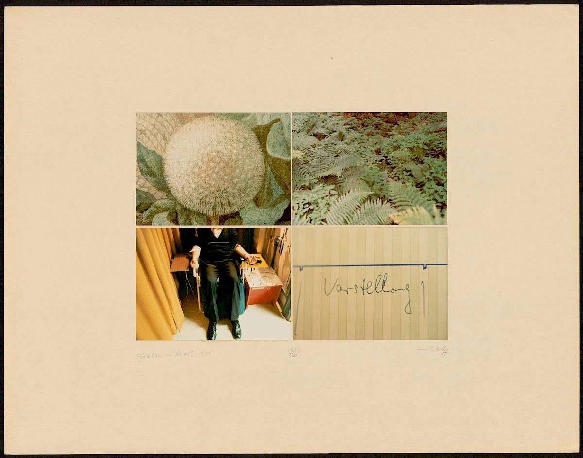 HEINZ CIBULKA | ARCHIVNUMMER: 321 (AUS DEM ZYKLUS FÜHLT-MOST ), 1982 | C-Print, 4 Fotos auf Untersatzkarton Blatt: 50,2 × 64,8 cm, Darstellung: 25,5 × 35,5 cm | Erwerbung aus Mitteln der Galerienförderung des BMUKK 2017 | Albertina, Wien