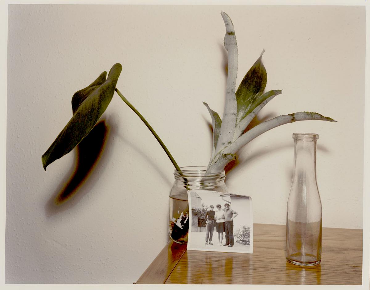 Robert F. Hammerstiel | Otto-Bauer-Gasse, 1060 Wien (aus der Serie Grüne Heimat – Der Stand der Dinge ), 1988-1990 | C-Print Fotopapier: 49,7 × 60,8 cm | Erwerbung aus Mitteln der Galerienförderung des BMUKK 2017 | Albertina, Wien