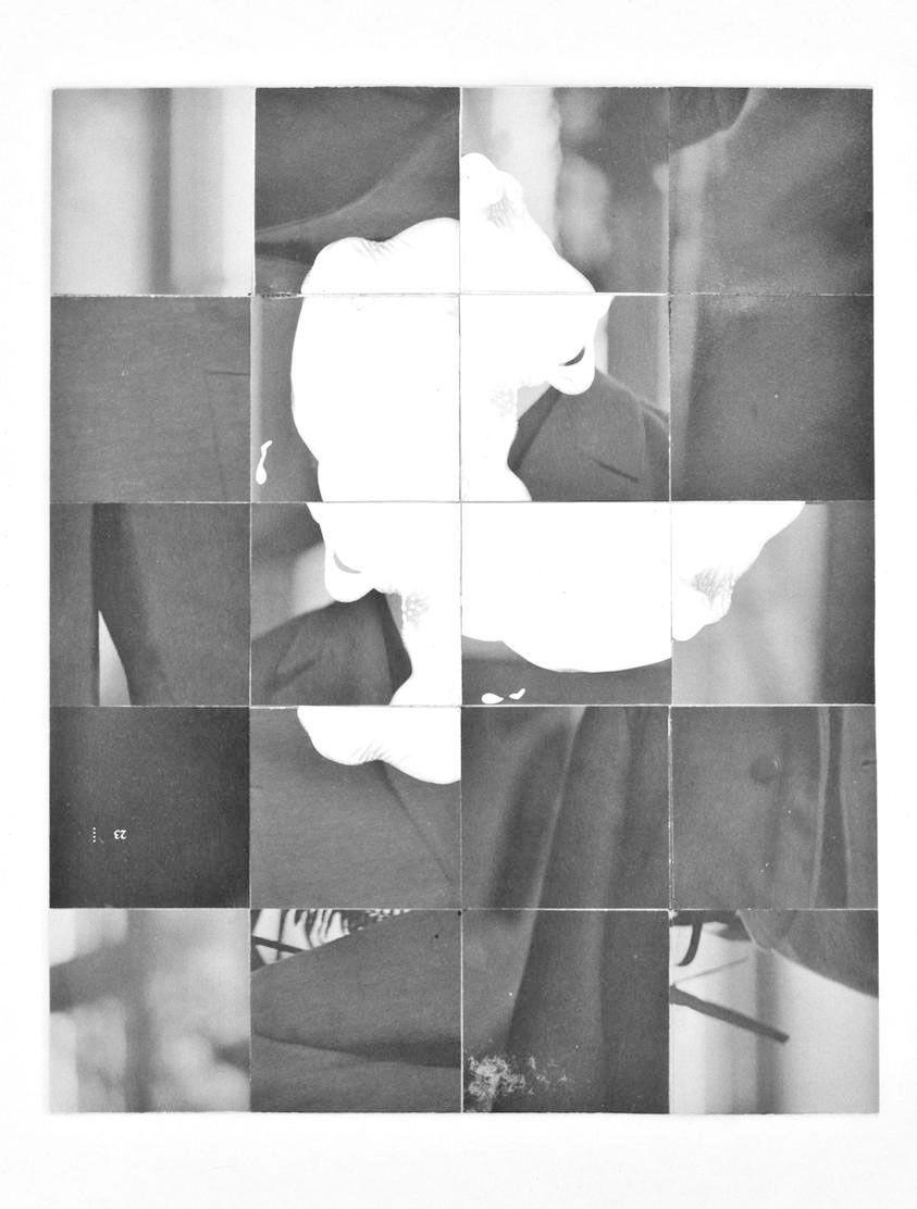 BERNHARD HOSA | ohne Titel Aus der Serie DISSECTION - 2013 | Collage - Buchseite, Lack 21 x 17 cm | Erworben aus den Mitteln der Galerieförderung des BMUKK | Albertina, Wien