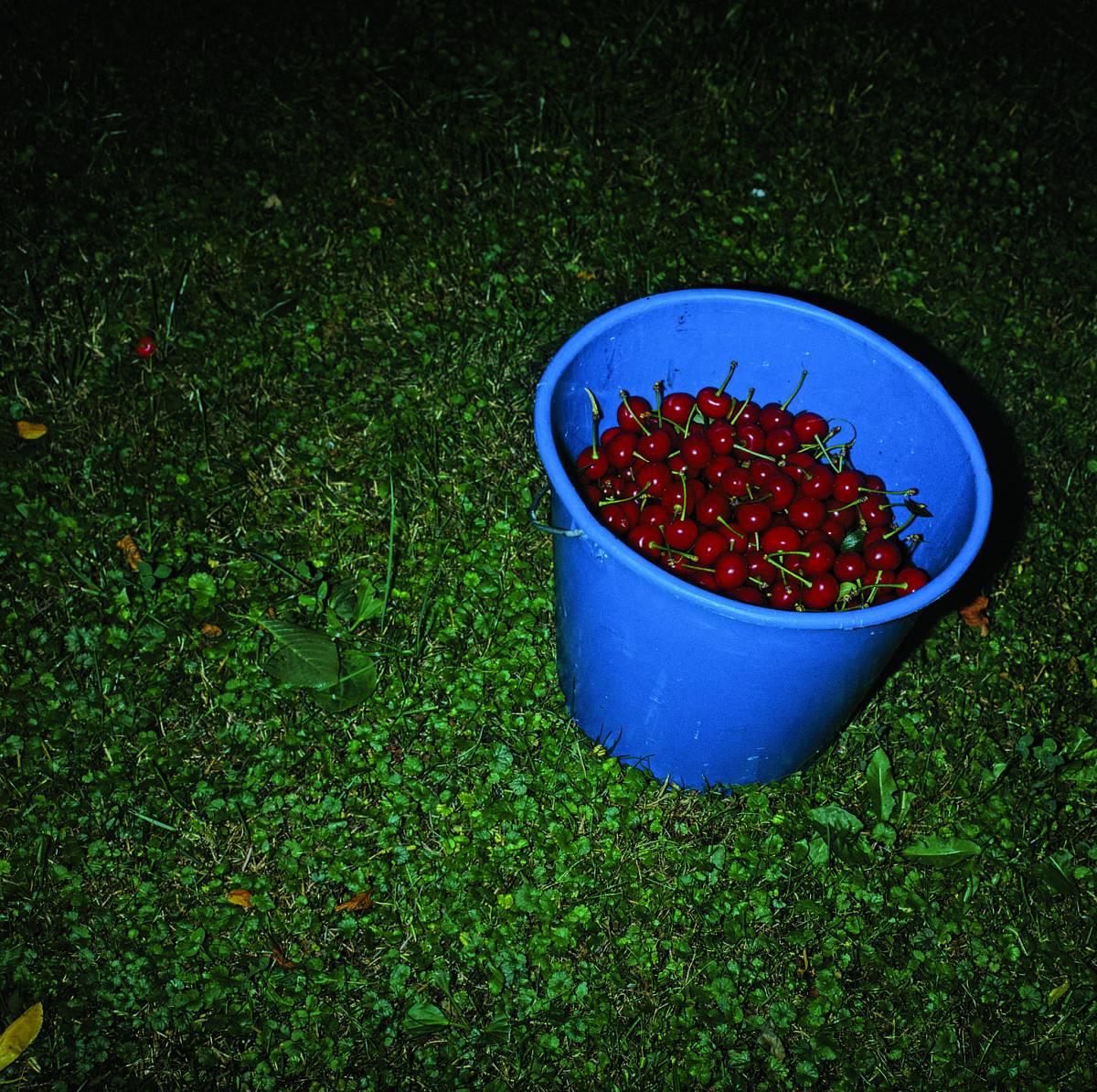 Manfred Willmann: Untitled, from the series Das Land, 1981-1993