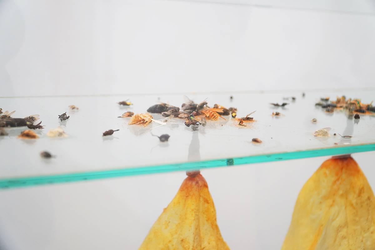 Walter Schmögner: Fünf Blasen, 2000