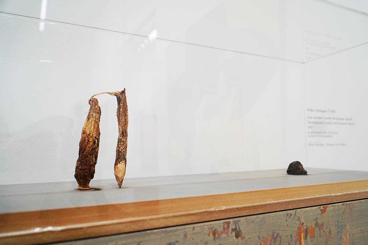 Walter Schmögner: Zwei verliebte Zucchini mit einsamer Marille, 2000, 2000